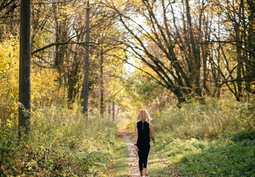 Why Nature Strolls Lift Your Emotional Wellness