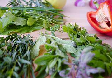 Top 10 Aromatic Herbs to Transform Your Cooking